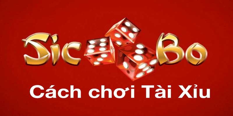 Hướng dẫn chơi tài xỉu trực tuyến chi tiết nhất 