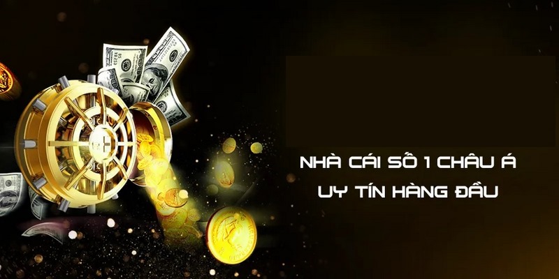 777vin - Nhà cái cá độ online tin cậy của mọi nhà