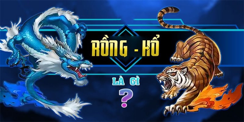 Tìm hiểu về rồng hổ