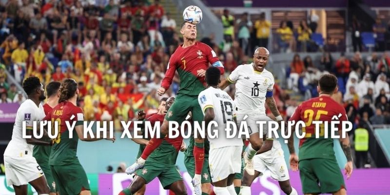 Lưu ý khi theo dõi trực tiếp bóng đá tại nhà cái