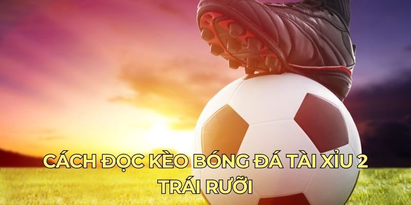 Cách đọc kèo bóng đá Tài Xỉu 2 trái rưỡi