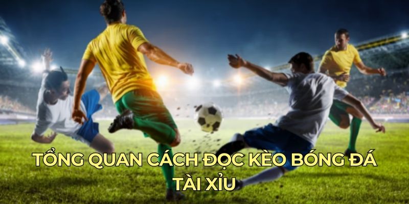 Tổng quan cách đọc kèo bóng đá Tài Xỉu